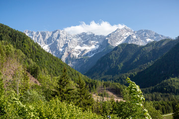 Fototapeta na wymiar Summer in Jezersko, Slovenia mountain valley pasture with Kamnik-Savinja Alps
