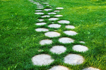 Walkway from tree stumps on green grass in summer sunny day, selective focus