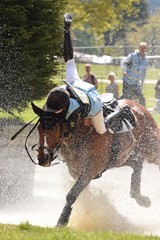 horse rider falling off