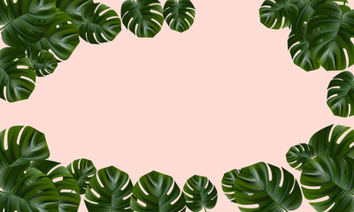 Fototapeta na wymiar Tropical leaves. Jungle background flower and palm. Vector jungle illustration. Exotic tropical jungle rainforest bright green monstera leaves border frame template on pink background.