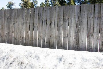 Fototapeta premium Closeup green rough wood old fence with dry twigs. Beautiful natural background. A fence overgrown with dried plants. External fence of the house. 