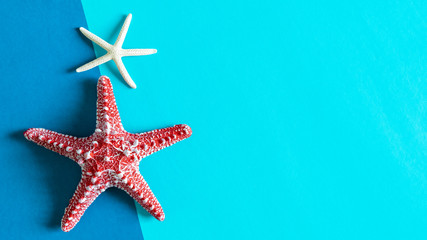 Fototapeta na wymiar Starfishes on blue paper background with free space for text. Travel and summer background concept.