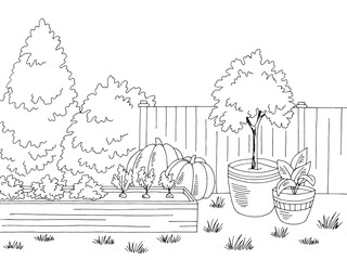 Market garden graphic black white landscape sketch illustration vector