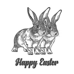 Hand drawn cute rabbits on white background with beautiful typography of celebrating happy easter.