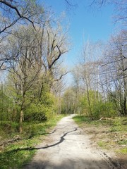 Frühling in der Natur