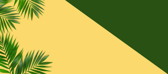 Creative flat lay top view of green tropical palm leaves on yellow  paper background.