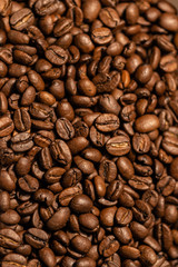 Grains of fresh roasted coffee close-up against a dark background. Coffee beans texture