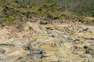 Landscape at Volcán Arenal National Park