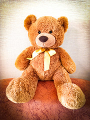 Teddy is sitting on an armchair