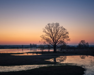 Fototapeta na wymiar Backwaters of the Narew River at sunrise in Strekowa Gora, Podlaskie, Poland