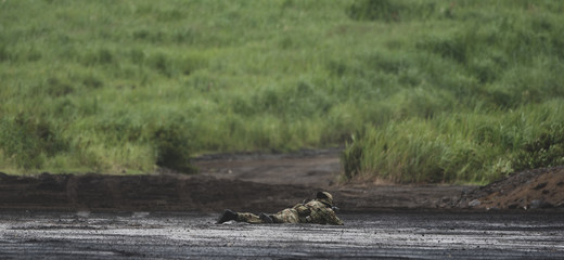 地面に伏せる歩兵
