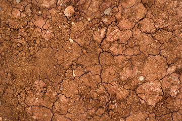 Texture of dried cracked clay. Macro background image of dried clay