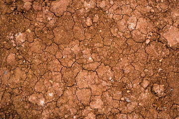 Texture of dried cracked clay. Macro background image of dried clay