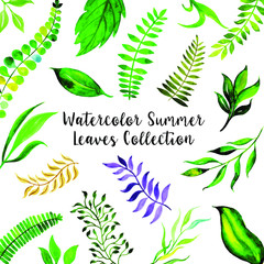 Watercolor Summer Leaves and Floral Collection Background