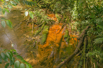 Colours at the river