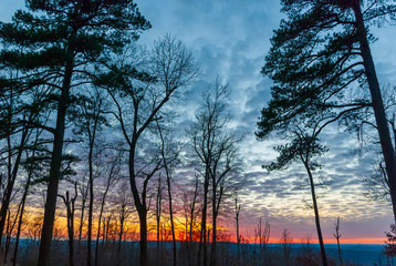 Sunset in the arkansas ozarks with silhouetted trees