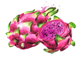 Pitaya fruit Whole and cut. Red or purple Dragon fruit. Hand drawn watercolor illustration isolated on white background