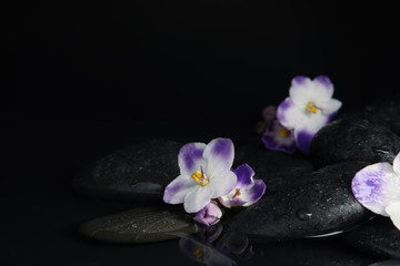 Fototapeta na wymiar Stones and flowers in water on black background, space for text. Zen lifestyle