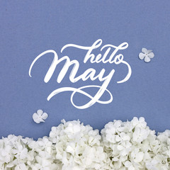 Hello May hand lettering inscription with spring flowers on background.