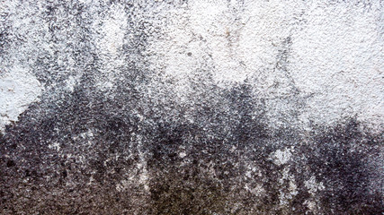 Gray grunge cracked old wall texture, concrete cement background, full frame