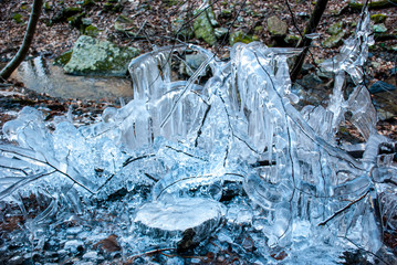 Ice forming on branches in early spring