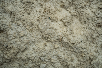 Texture of dried cracked clay. Macro background image of dried clay