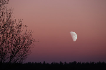 Dämmerung mit Mond