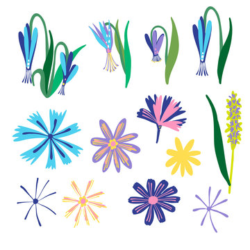 Vector isolated set of colourful spring colchicum and chicory flowers on a white background. The design is perfect for decorations, logo, invitations, stickers, tattoos and cards.