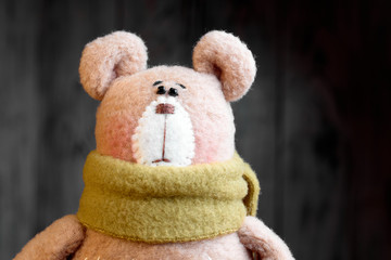 Portrait of little funny soft toy of bear
