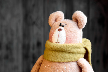 Portrait of little funny soft toy of bear