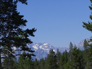 Scenic view of the tops of pine trees with snow-capped mountain ranges  at the Grand Teton National Park, Wyoming.