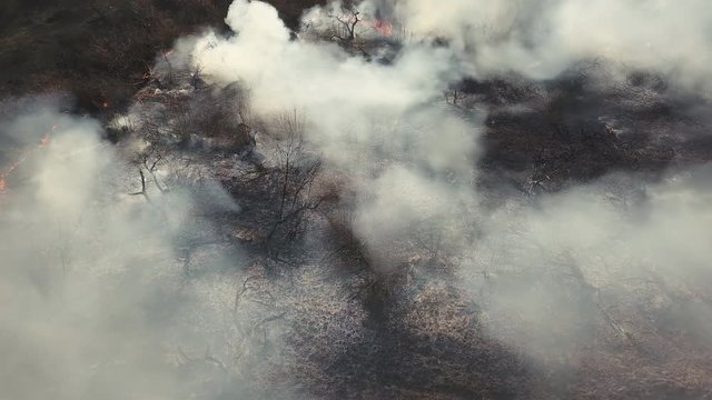 Wildfire aerial view. Fire and smoke at a forest fire near the city. Air and atmosphere pollution. Grass and trees burn on the outskirts of the town. Heat and dry weather pose a high risk of fire
