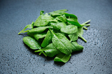Fresh, wet spinach leaves in a heap  isolated on black background. Concept for a tasty and healthy...