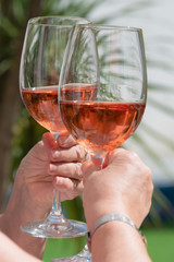 two hands toasting with rose wine