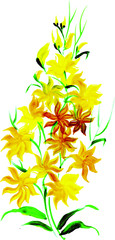 Fototapeta na wymiar Beautiful Watercolor Floral and Leaves
