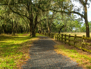 Fototapeta premium Walking Path in Tallahassee, Florida