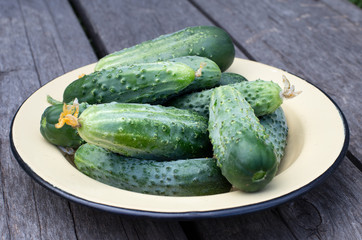 Fresh picked cucumbers on a plate on a wooden background.