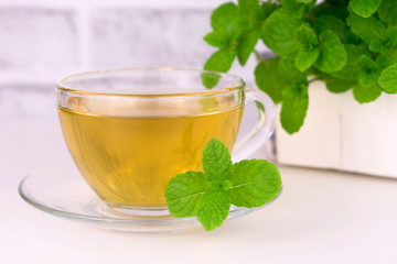 Mint tea and fresh mint in the background. Mint tea on a white background. Close-up.