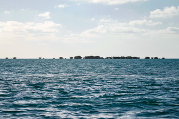 Obraz premium Florida Keys Wildlife and Sunsets
