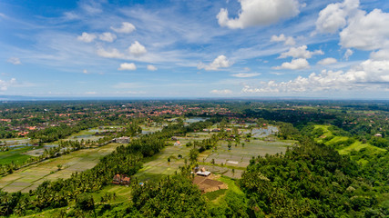 Fototapeta na wymiar A typical view of a Balinese village in the jungle. Aerial view, Bali, Indonesia.