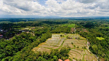 Fototapeta na wymiar Aerial view of rice terrace filled water, mirroring sky clouds and palm trees.