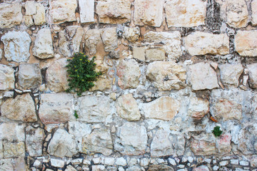 Antique stone wall