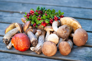 A bunch of mushrooms and ripe lingonberries lying on top on the wood bench with blurred background