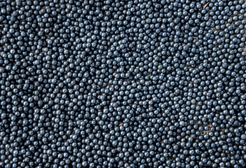 Blackground of hunting lead fractions