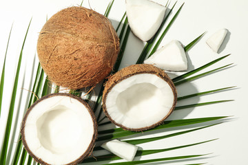 Coconut and palm branch on white background, top view