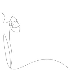Summer flower background. Vector illustration