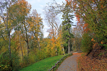 Autumn in Sigulda, Latvia