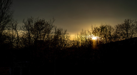 Bright sun setting behind the trees