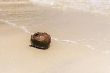 Coconut Beach