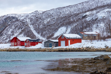 villaggio di pescatori con le case rosse in Norvegia oltre il circolo polare artico